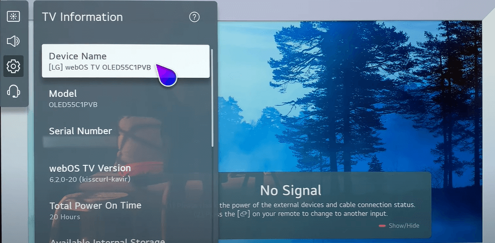 Choose Device Name option on LG TV