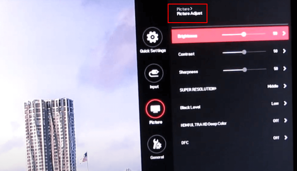 LG Monitor Picture Settings - Picture Adjust